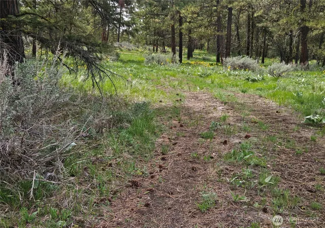 Photo 3 of Land for sale at 0 Muledeer Rd, East Wenatchee, WA 98802 | MLS# NWM2403987 | Listing updated on 2026-09-17
