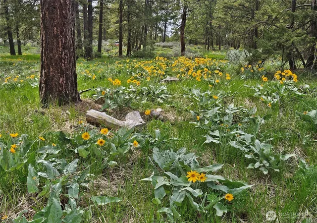 Photo 3 of Land for sale at 0 Muledeer Rd, East Wenatchee, WA 98802 | MLS# NWM2403987 | Listing updated on 2026-09-17