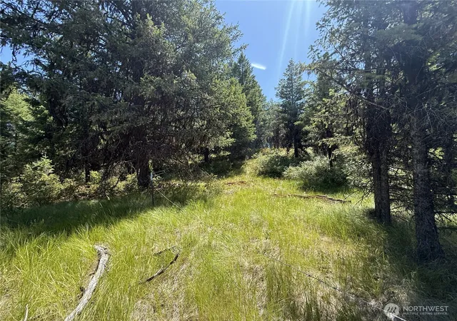 Photo 1 of Land for sale at 135 Slippery Hl Ln, Republic, WA 99166 | MLS# NWM2405126 | Listing updated on 2026-09-17
