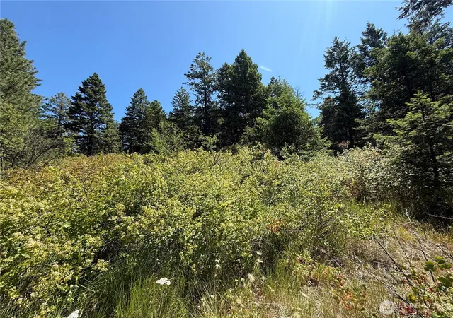 Photo 2 of Land for sale at 135 Slippery Hl Ln, Republic, WA 99166 | MLS# NWM2405126 | Listing updated on 2026-09-17