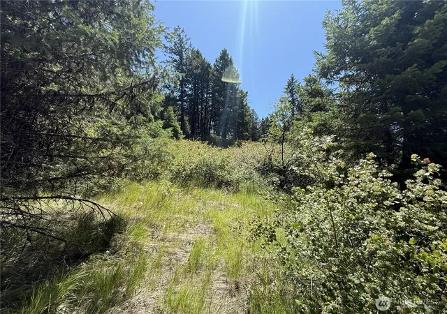 Photo 3 of Land for sale at 135 Slippery Hl Ln, Republic, WA 99166 | MLS# NWM2405126 | Listing updated on 2026-09-17
