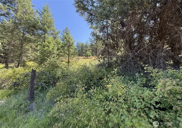Photo 3 of Land for sale at 135 Slippery Hl Ln, Republic, WA 99166 | MLS# NWM2405126 | Listing updated on 2026-09-17