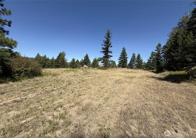Photo 4 of Land for sale at 135 Slippery Hl Ln, Republic, WA 99166 | MLS# NWM2405126 | Listing updated on 2026-09-17