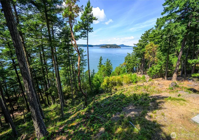 Photo 3 of Land for sale at 0 Ec 19 E Cvs Rd, Decatur Island, WA 98221 | MLS# NWM2406986 | Listing updated on 2026-09-17