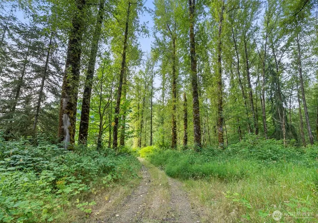 Photo 4 of Land for sale at 841 W Main, Morton, WA 98356 | MLS# NWM2407493 | Listing updated on 2026-09-17