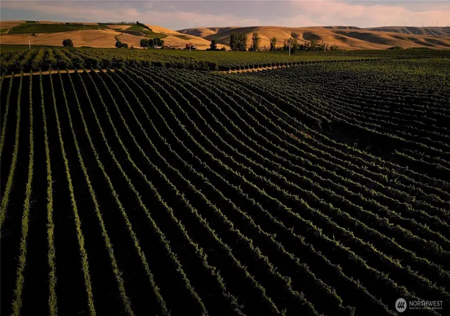 Photo 3 of Single family home for sale at 83996 Edwards Rd, Milton Freewater, OR 97862 | MLS# NWM2408341 | Listing updated on 2026-09-17