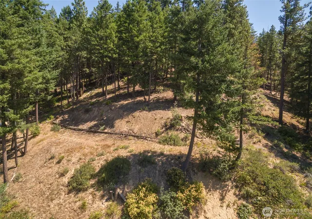 Photo 3 of Land for sale at 25601 Camp 12 Rd, Leavenworth, WA 98826 | MLS# NWM2408877 | Listing updated on 2026-09-17