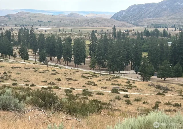 Land for sale at 10 Landers Rd, Malott, WA 98829 | MLS# NWM2409197
