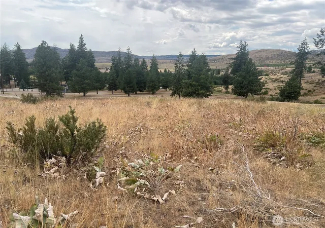 Photo 3 of Land for sale at 10 Landers Rd, Malott, WA 98829 | MLS# NWM2409197 | Listing updated on 2026-09-17