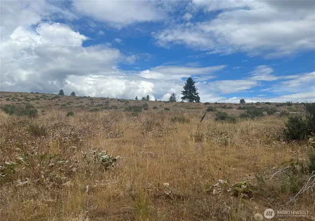 Photo 3 of Land for sale at 10 Landers Rd, Malott, WA 98829 | MLS# NWM2409197 | Listing updated on 2026-09-17