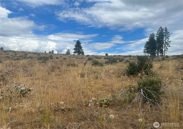 Photo 4 of Land for sale at 10 Landers Rd, Malott, WA 98829 | MLS# NWM2409197 | Listing updated on 2026-09-17