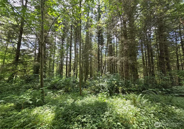 Photo 3 of Land for sale at 228 W Xx King Lake Rd, Monroe, WA 98272 | MLS# NWM2409948 | Listing updated on 2026-09-23