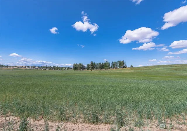 Photo 3 of Land for sale at 0 Unassigned, Waterville, WA 98858 | MLS# NWM2411373 | Listing updated on 2026-09-17