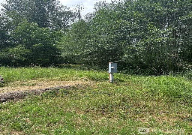 Photo 3 of Land for sale at 56002 E 317th Avenue, Ashford, WA 98304 | MLS# NWM2411662 | Listing updated on 2026-09-17