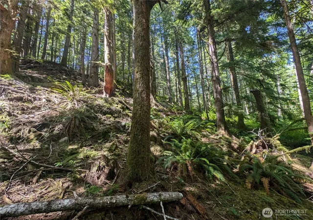 Land for sale at 999 Kallman Rd, Forks, WA 98331 | MLS# NWM2413106
