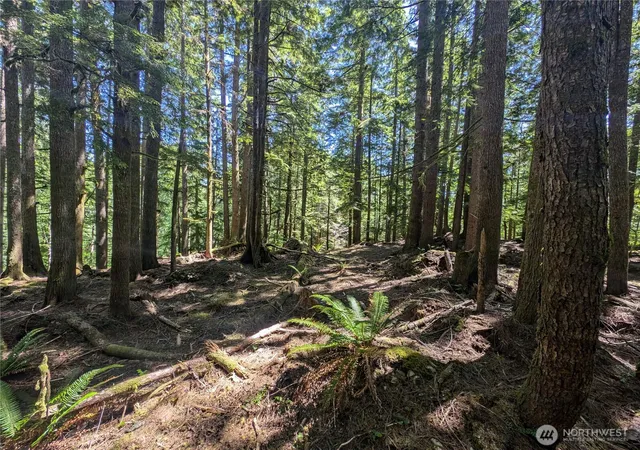Photo 2 of Land for sale at 999 Kallman Rd, Forks, WA 98331 | MLS# NWM2413106 | Listing updated on 2026-09-17