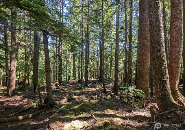 Photo 3 of Land for sale at 999 Kallman Rd, Forks, WA 98331 | MLS# NWM2413106 | Listing updated on 2026-09-17