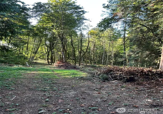Photo 1 of Land for sale at 0 Ne Dawn Rd, Bremerton, WA 98311 | MLS# NWM2413151 | Listing updated on 2026-09-30