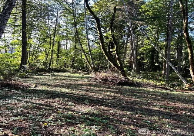 Photo 4 of Land for sale at 0 NE Dawn Rd, Bremerton, WA 98311 | MLS# NWM2413151 | Listing updated on 2026-09-30