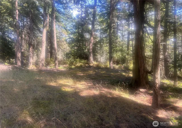 Photo 2 of Land for sale at 0 Xx Rocky Rd, Eastsound, WA 98245 | MLS# NWM2413332 | Listing updated on 2026-09-17