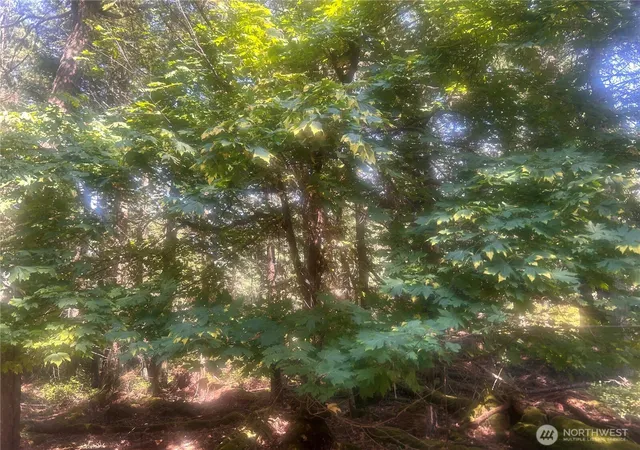 Photo 3 of Land for sale at 0 Xx Rocky Rd, Eastsound, WA 98245 | MLS# NWM2413332 | Listing updated on 2026-09-17