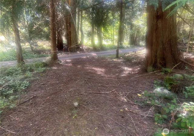 Photo 4 of Land for sale at 0 Xx Rocky Rd, Eastsound, WA 98245 | MLS# NWM2413332 | Listing updated on 2026-09-17