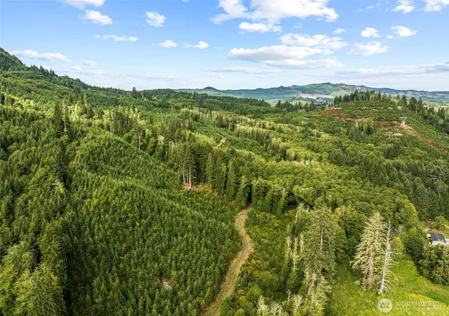 Photo 3 of Land for sale at 1 Lot A State Route 4 Hwy, Skamokawa, WA 98647 | MLS# NWM2413340 | Listing updated on 2026-09-17