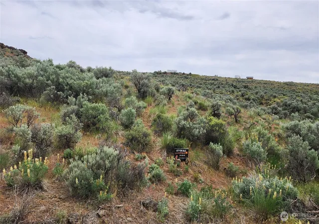 Photo 3 of Land for sale at 0 Lot 9 Ashcroft Dr, Ephrata, WA 98823 | MLS# NWM2413341 | Listing updated on 2026-09-17