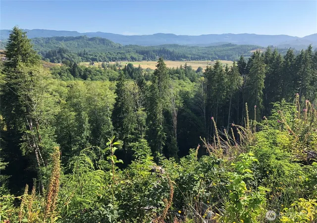 Photo 1 of Land for sale at 0 Lot B State Route 4 Hwy, Skamokawa, WA 98674 | MLS# NWM2413475 | Listing updated on 2026-09-17