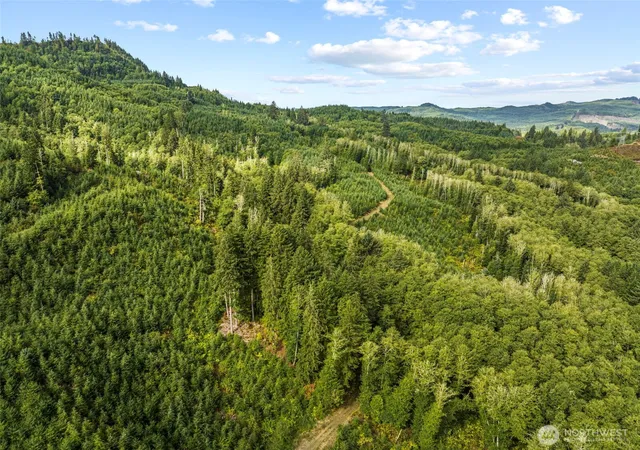 Photo 3 of Land for sale at 0 Lot B State Route 4 Hwy, Skamokawa, WA 98674 | MLS# NWM2413475 | Listing updated on 2026-09-17