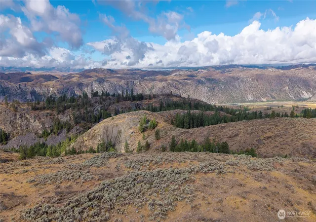 Photo 4 of Land for sale at 0 Tbd Pharr Out 2 Way, Omak, WA 98841 | MLS# NWM2413612 | Listing updated on 2026-09-17