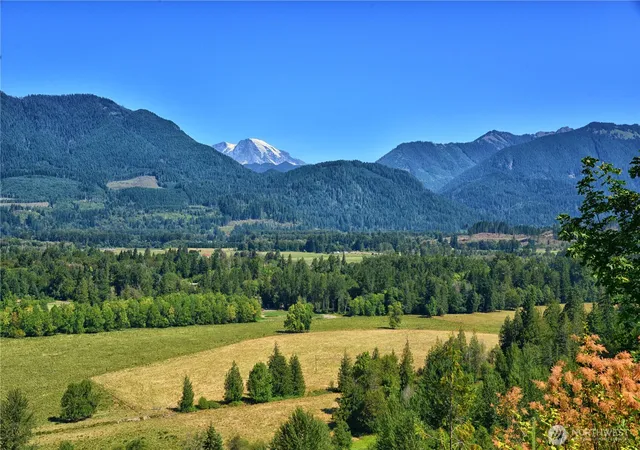 Photo 1 of Land for sale at 3 Skinner Rd, Randle, WA 98377 | MLS# NWM2413640 | Listing updated on 2026-09-17