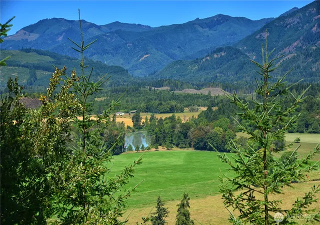 Photo 3 of Land for sale at 3 Skinner Rd, Randle, WA 98377 | MLS# NWM2413640 | Listing updated on 2026-09-17