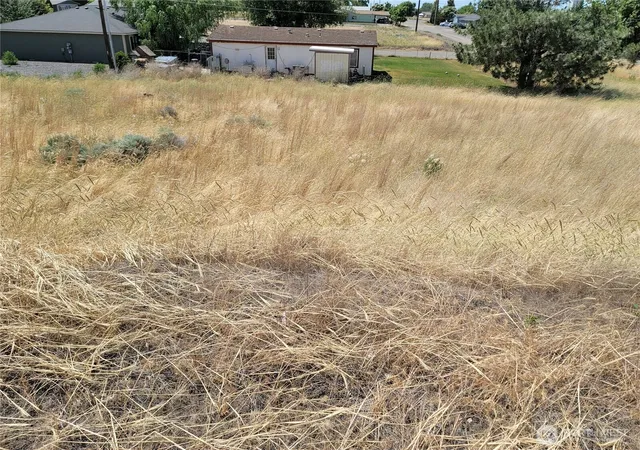 Land for sale at 0 Parcel 060797000 Washington Ave S, Warden, WA 98857 | MLS# NWM2414130