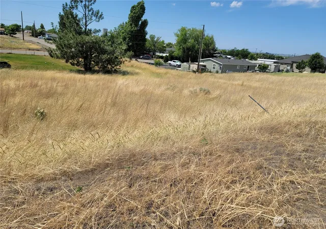 Photo 3 of Land for sale at 0 Parcel 060797000 Washington Ave S, Warden, WA 98857 | MLS# NWM2414130 | Listing updated on 2026-09-17