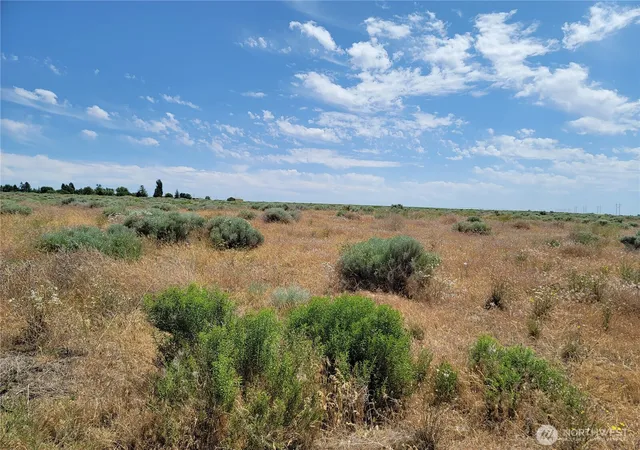 Land for sale at 0 Parcel 061146000 Nna 6th St W, Warden, WA 98857 | MLS# NWM2414148
