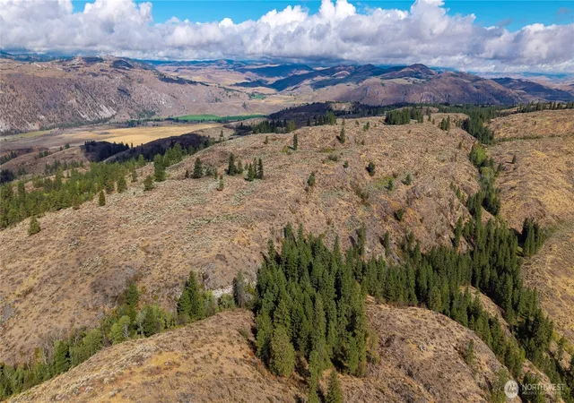 Land for sale at 0 Tbd Pharr Out 14 Way, Omak, WA 98841 | MLS# NWM2414437