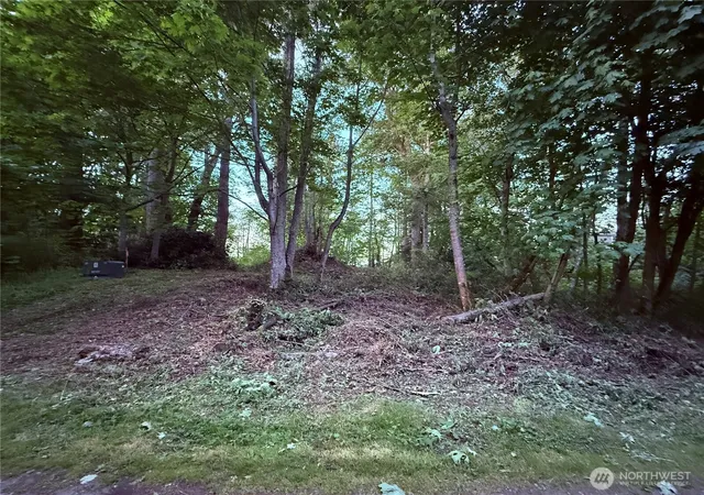 Photo 3 of Land for sale at 32 K Beach Way, Hat Island, WA 98206 | MLS# NWM2415587 | Listing updated on 2026-09-17