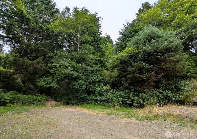 Land for sale at 0 Lot 14 Lamontay Pl, Ilwaco, WA 98624 | MLS# NWM2415945