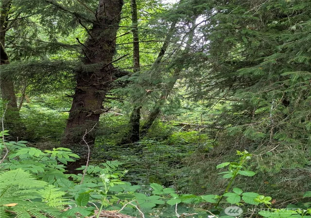 Photo 3 of Land for sale at 0 Lot 14 Lamontay Pl, Ilwaco, WA 98624 | MLS# NWM2415945 | Listing updated on 2026-09-17