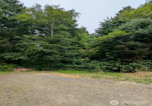 Photo 3 of Land for sale at 0 Lot 14 Lamontay Pl, Ilwaco, WA 98624 | MLS# NWM2415945 | Listing updated on 2026-09-17