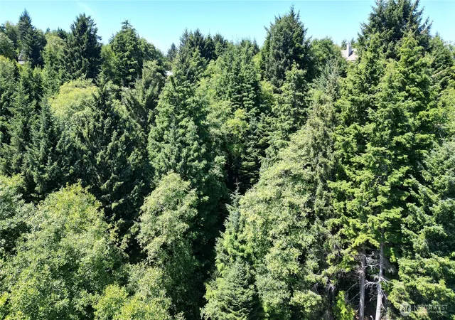 Photo 4 of Land for sale at 0 Lot 14 Lamontay Pl, Ilwaco, WA 98624 | MLS# NWM2415945 | Listing updated on 2026-09-17