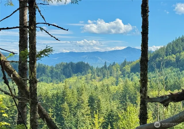 Photo 3 of Land for sale at 49923 146th Avenue E, Eatonville, WA 98328 | MLS# NWM2416077 | Listing updated on 2026-09-28