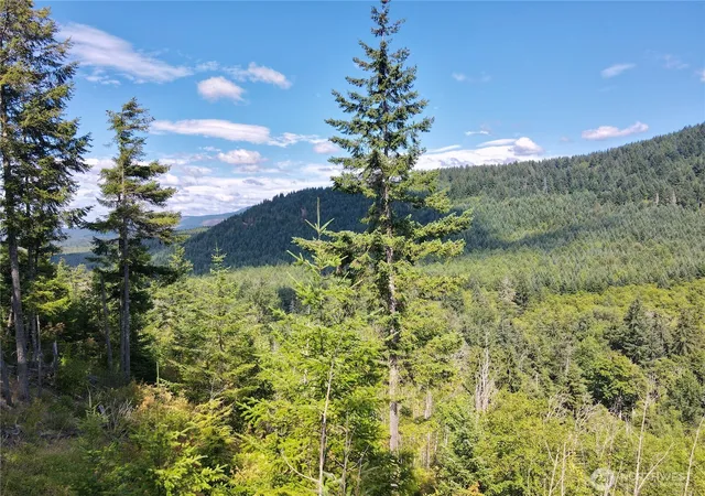 Photo 4 of Land for sale at 49923 146th Avenue E, Eatonville, WA 98328 | MLS# NWM2416077 | Listing updated on 2026-09-28
