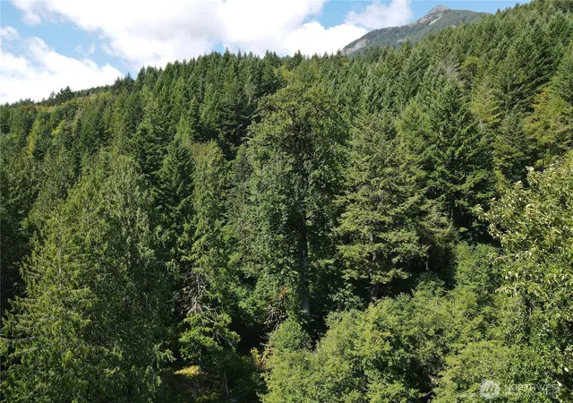 Land for sale at 0 Cannon Rd, White Pass, WA 98937 | MLS# NWM2416527