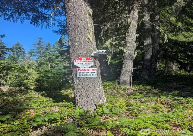 Photo 2 of Land for sale at 30 Nymark Dr, Cougar, WA 98616 | MLS# NWM2416541 | Listing updated on 2026-09-17