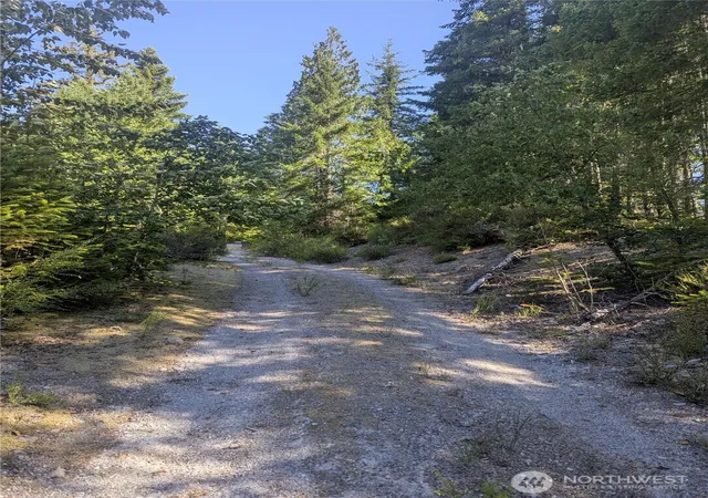 Photo 3 of Land for sale at 30 Nymark Dr, Cougar, WA 98616 | MLS# NWM2416541 | Listing updated on 2026-09-17