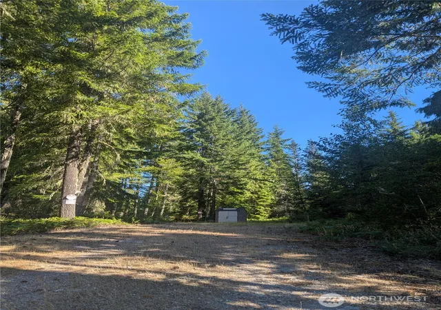 Photo 4 of Land for sale at 30 Nymark Dr, Cougar, WA 98616 | MLS# NWM2416541 | Listing updated on 2026-09-17