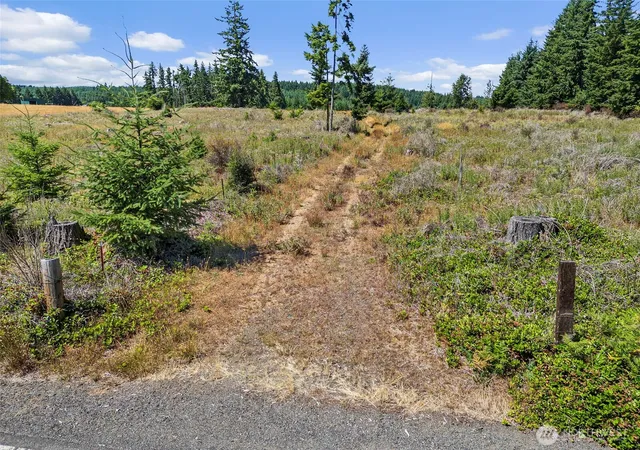 Photo 3 of Land for sale at 0 Frogner Rd #3, Chehalis, WA 98532 | MLS# NWM2417175 | Listing updated on 2026-09-17