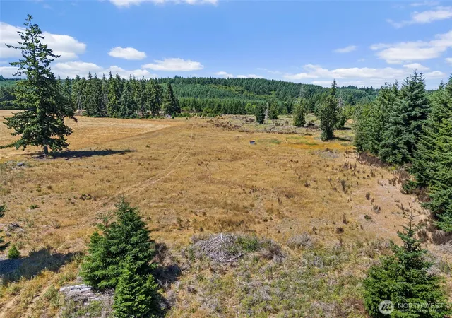 Photo 4 of Land for sale at 0 Frogner Rd #3, Chehalis, WA 98532 | MLS# NWM2417175 | Listing updated on 2026-09-17